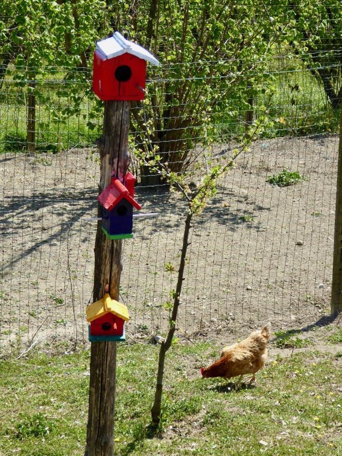 Agriturismo Bottega Di Rosanna Castagnole delle Lanze Екстер'єр фото